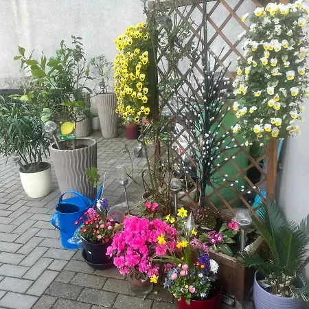 Kaethe-kollwitz-strasse 54, F2 Altenburg