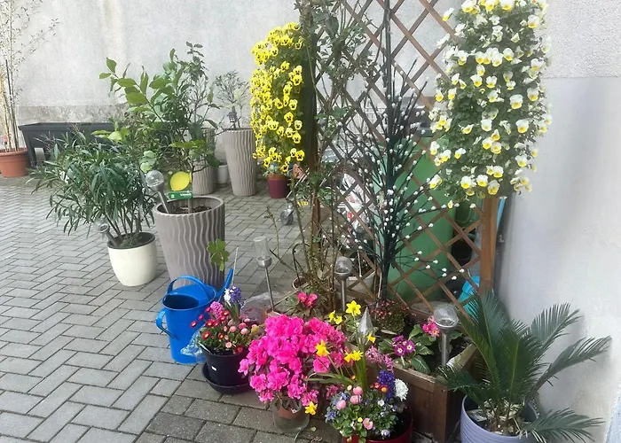 Kaethe-kollwitz-strasse 54, F2 Altenburg